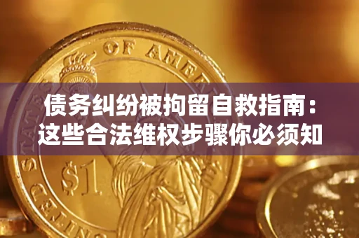 北京债务纠纷被拘留自救指南：这些合法维权步骤你必须知道！