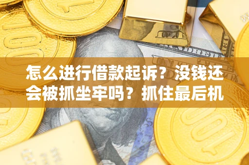 北京怎么进行借款起诉？没钱还会被抓坐牢吗？抓住最后机会！