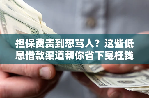 北京担保费贵到想骂人？这些低息借款渠道帮你省下冤枉钱