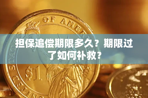 北京担保追偿期限多久？期限过了如何补救？