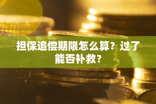 北京担保追偿期限怎么算？过了能否补救？